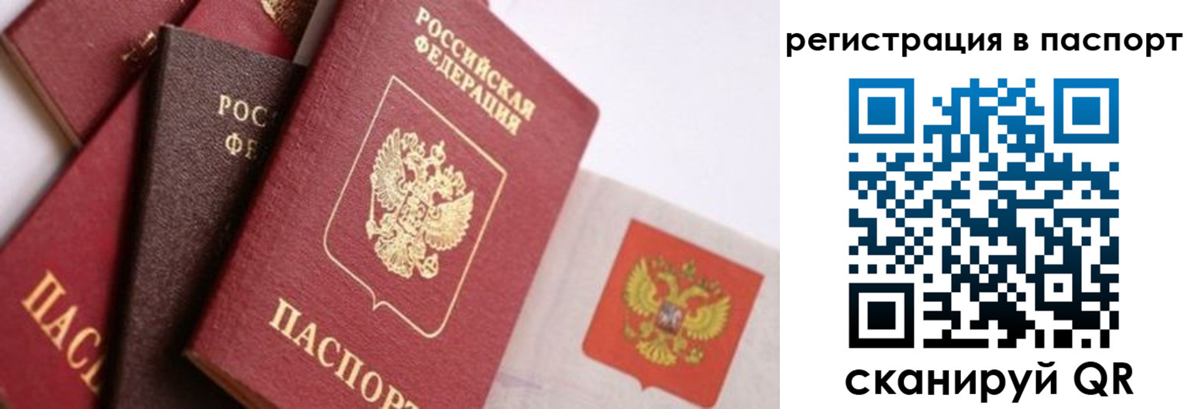 прописка в квартире в Льгове